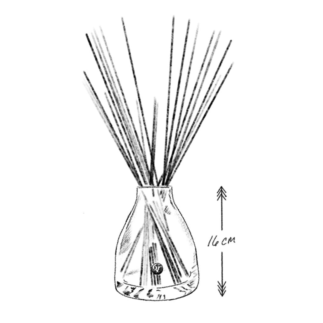 Large Reed Diffuser Set